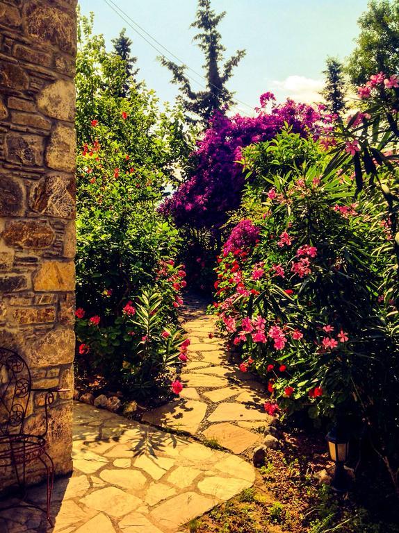 Eski Datca Evleri Εξωτερικό φωτογραφία
