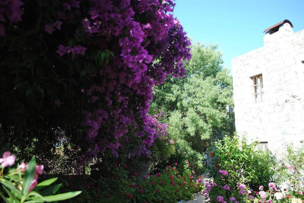 Eski Datca Evleri Εξωτερικό φωτογραφία